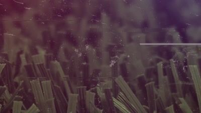 Gazon synthétique Gruissan 35 mm 1 m x 3 m AG'CO