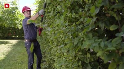 Taille-haie à batterie 18 V lame 45 cm GC-HH18/45Li EINHELL