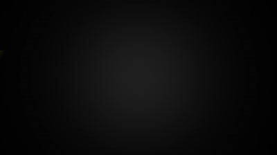 Station de peinture Wood and Metal W150 WAGNER