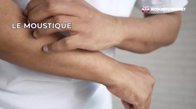 Anti insectes mosquito pioneer