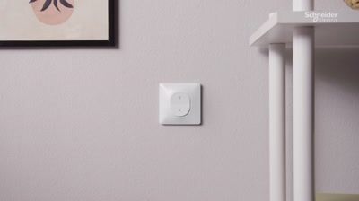 Bouton poussoir anthracite - Ovalis SCHNEIDER ELECTRIC